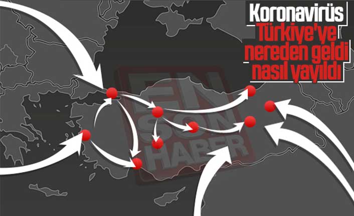 Koronavirüsün Türkiye'de nasıl yayıldığı belirlendi