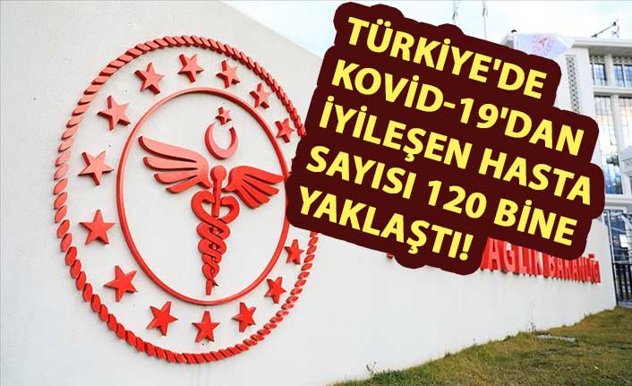 Türkiye'de Kovid-19'dan iyileşen hasta sayısı 116 bin 111'e ulaştı