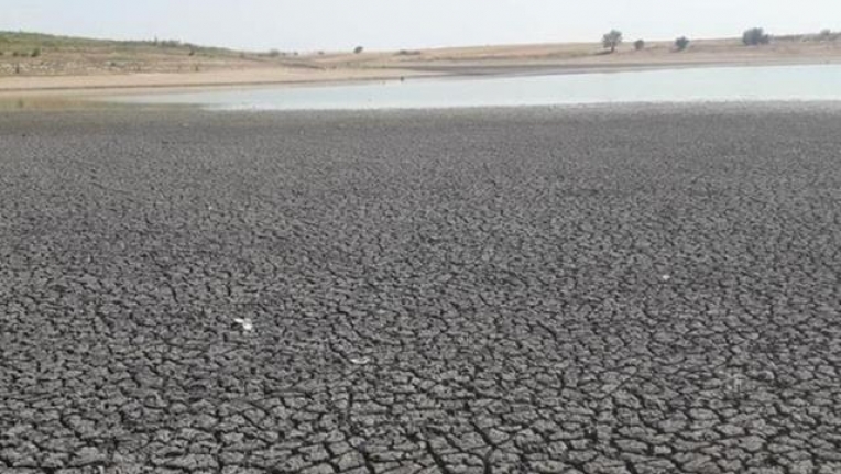 Edirne'de son 91 yılın en kurak dönemi yaşanıyor! Kayalıköy Barajı'ndaki su seviyesi yüzde 3'e indi