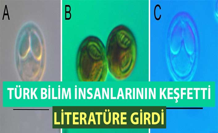 Türk bilim insanlarının keşfettiği parazit türü literatüre girdi