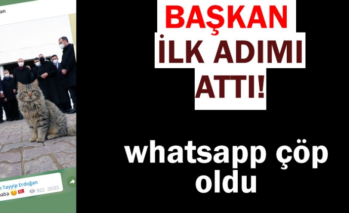 Cumhurbaşkanı Erdoğan haberleşme uygulamaları BiP ve Telegram'a katıldı