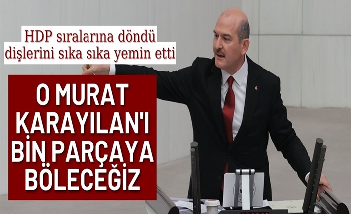 Süleyman Soylu'dan Meclis'te Gara bilgilendirmesi