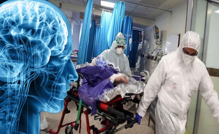 Ölümler başladı: Beyni çürüten gizemli hastalık patlak verdi