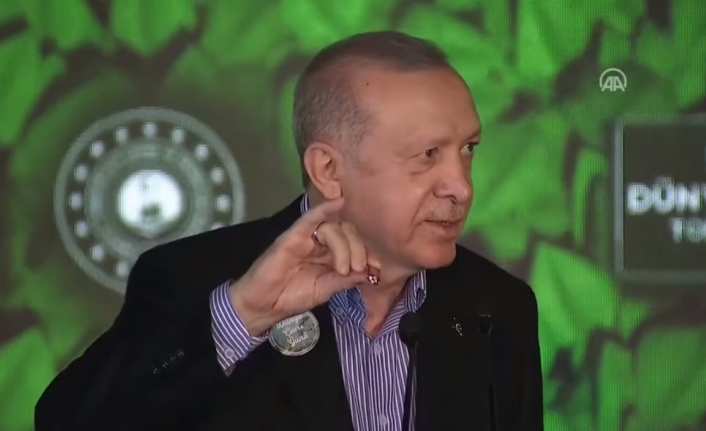 Cumhurbaşkanı Erdoğan’ın ‘doğal makas’ı