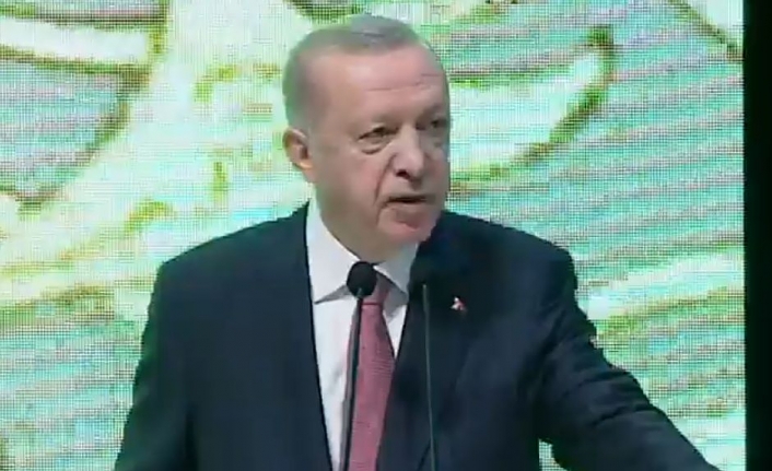Cumhurbaşkanı Erdoğan: Batı, dünyayı yumuşak güç ile istila etti