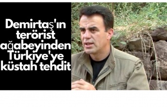 Demirtaş'ın terörist kardeşinden Türkiye'ye küstah tehdit