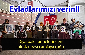 Diyarbakır annelerinden uluslararası camiaya çağrı