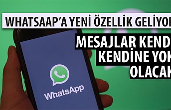 WhatsApp Android Beta Sürümüne 'Grup Mesajlarını Otomatik Silme' Özelliği Geldi