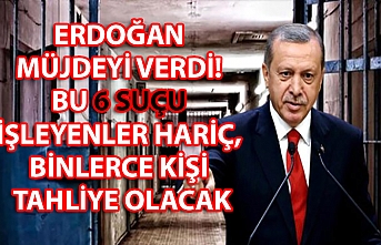 Erdoğan müjdeyi verdi! Bu 6 suçu işleyenler hariç, binlerce kişi tahliye olacak