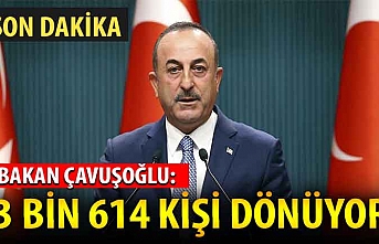 Bakan Çavuşoğlu: 3 bin 614 kişi Türkiye'ye dönüyor