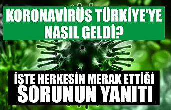 Koronavirüs Türkiye'ye nasıl geldi? İşte herkesin merak ettiği sorunun yanıtı