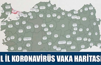 İl il koronavirüs vaka haritası