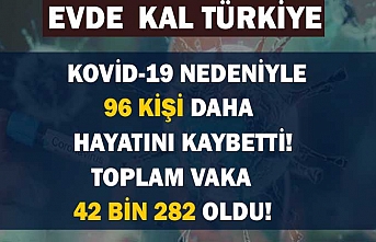 Sağlık Bakanlığı: Türkiye'de Kovid-19'dan iyileşen hasta sayısı 2142'ye ulaştı