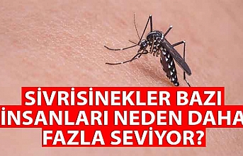Sivrisinekler neden bazı insanları daha fazla seviyor?