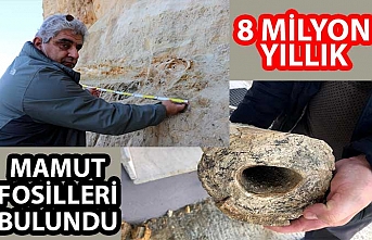 Edirne'deki kum ocağında 8 milyon yıllık mamut fosili bulundu