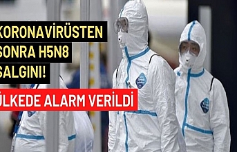 Koronavirüsten sonra H5N8 salgını! Ülkede alarm verildi