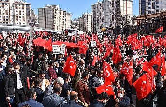 Şırnak'ta Gara şehitleri için PKK'ya tepki yürüyüşü düzenlendi