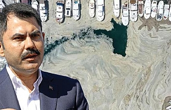 Marmara'da müsilaj seferberliği! Çevre ve Şehircilik Bakanı Murat Kurum tarih verdi: Deniz 5 yıl içinde eski haline dönecek