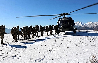'Eren Kış-11 (Şenyayla) Şehit Jandarma Üsteğmen İsmail Moray' operasyonu başladı