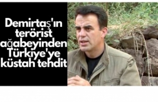 Demirtaş'ın terörist kardeşinden Türkiye'ye...