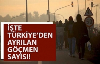 Soylu Türkiye'den ayrılan göçmen sayısını...
