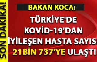 Türkiye'de Kovid-19'dan iyileşen hasta...