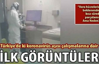 Türkiye'deki koronavirüs aşısı çalışmalarına...