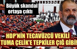 HDP'nin tecavüzcü vekili Tuma Çelik'e...