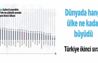 Türkiye, OECD'nin en yüksek oranda büyüyen...